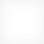 短信轰在线网页版入口